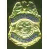 US IMMIGRATION INSPECTOR BADGE